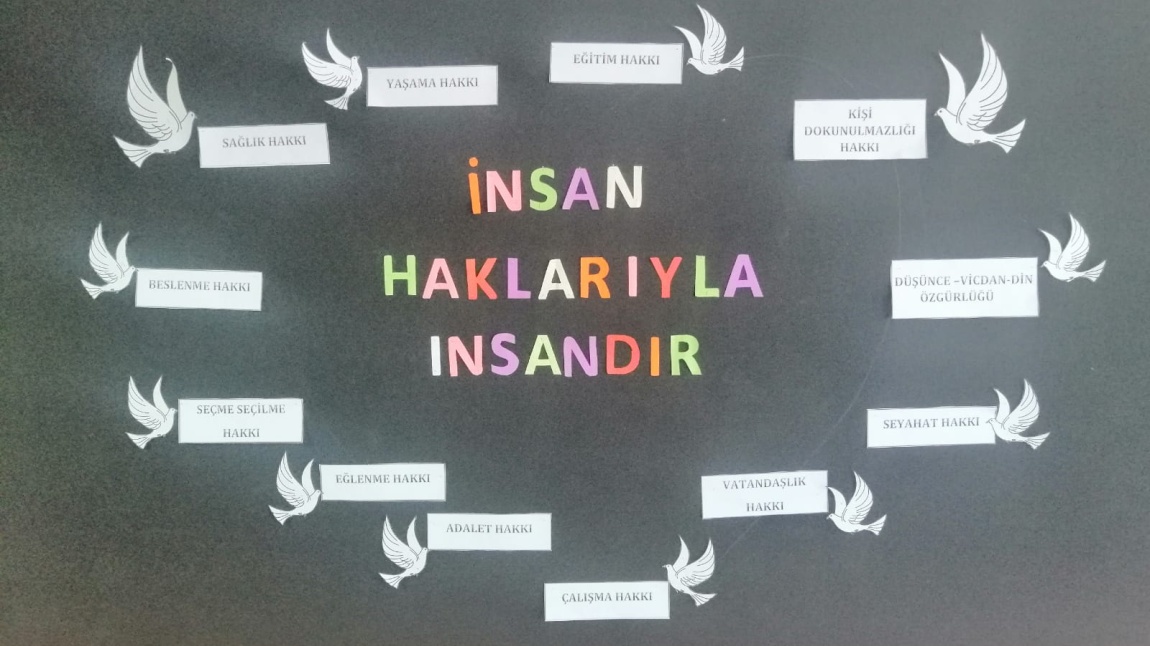 İNSAN HAKLARI VE DEMOKRASİ HAFTASI PROGRAMI